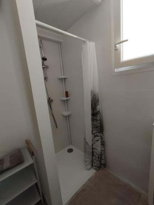 Studio En Petite Camargue Le Cailar Exterior photo